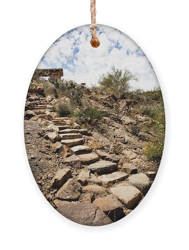 Canyon Ornament featuring the photograph Stone stairs to desert picnic oasis by Craig A Walker