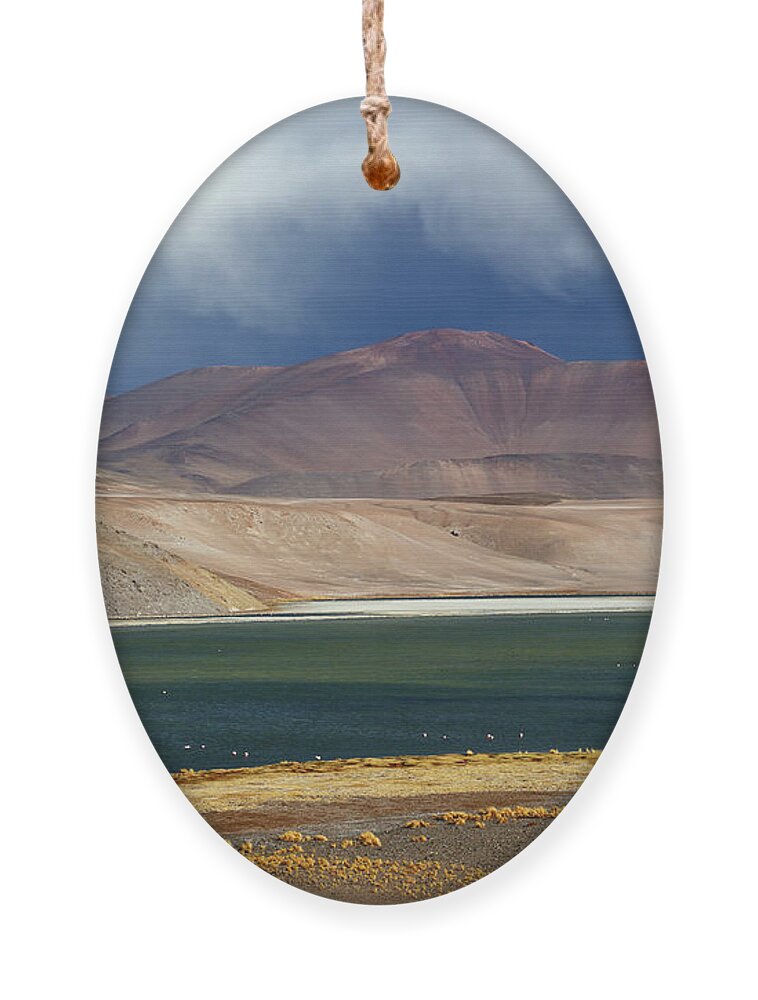 Chile Ornament featuring the photograph Storm clouds and virga above Laguna Santa Rosa Chile by James Brunker