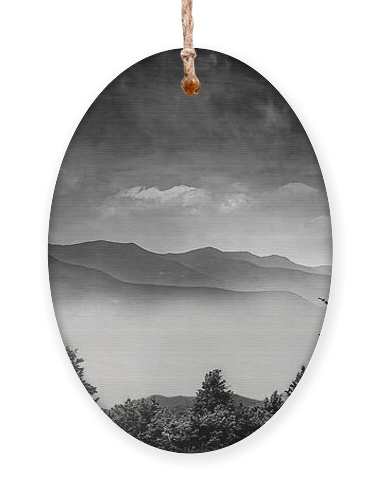 Storm Ornament featuring the photograph Storm on the Mountain II by Shelia Hunt