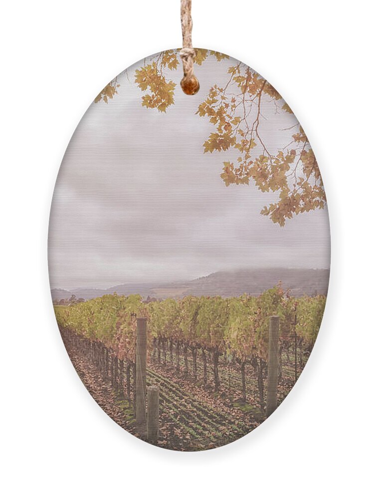 Season Ornament featuring the photograph Storm Over Vines by Jonathan Nguyen