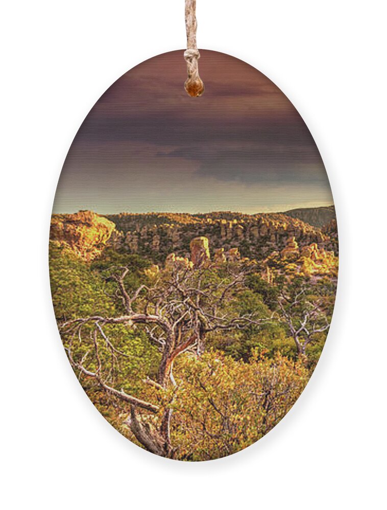Fine Art Ornament featuring the photograph Storm Rising Over the Chiricahuas by Robert Harris