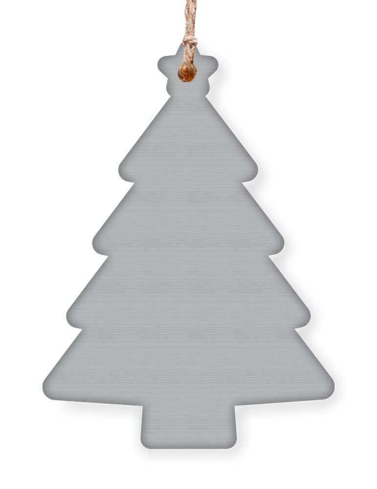 Stormy Grey - Light Neutral Mid Tone Gray Solid Color Ornament