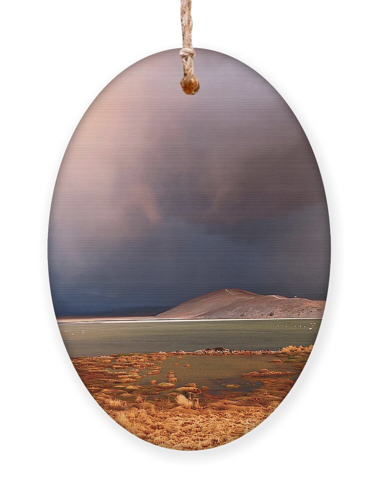 Chile Ornament featuring the photograph Stormy sunset Laguna Santa Rosa Chile by James Brunker