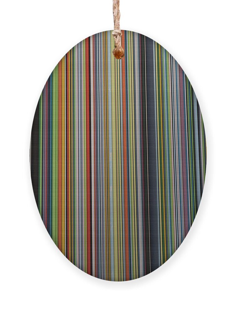 Stripes Ornament featuring the photograph Stripes by Elaine Teague