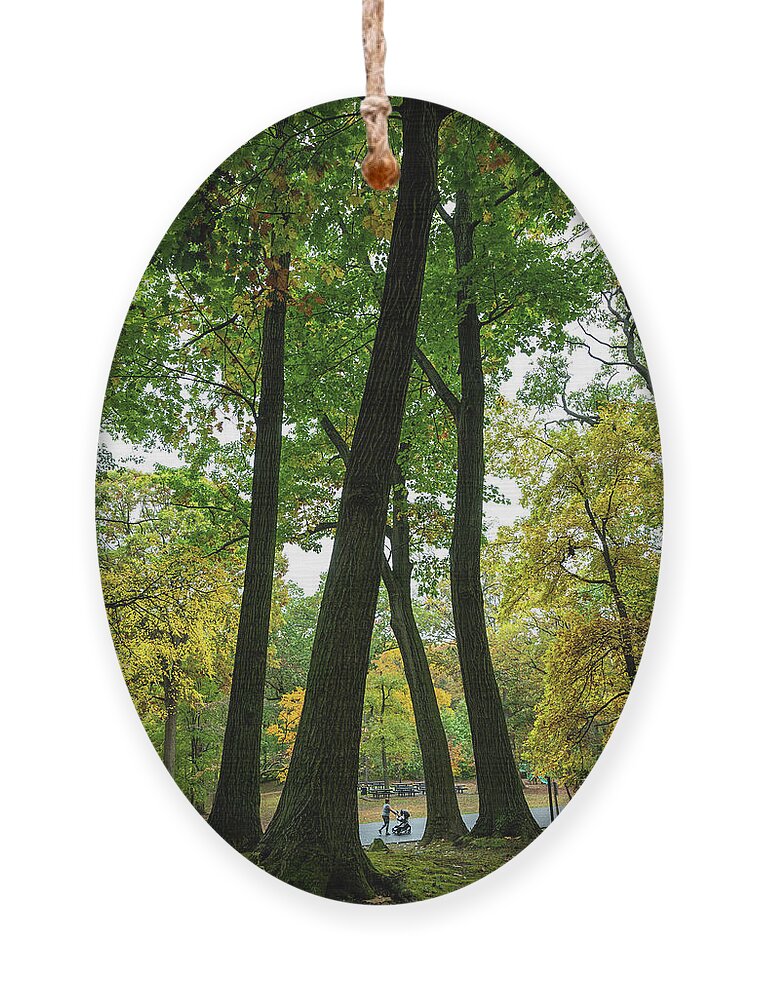Autumn Ornament featuring the photograph Strolling Through the Park by Kevin Suttlehan