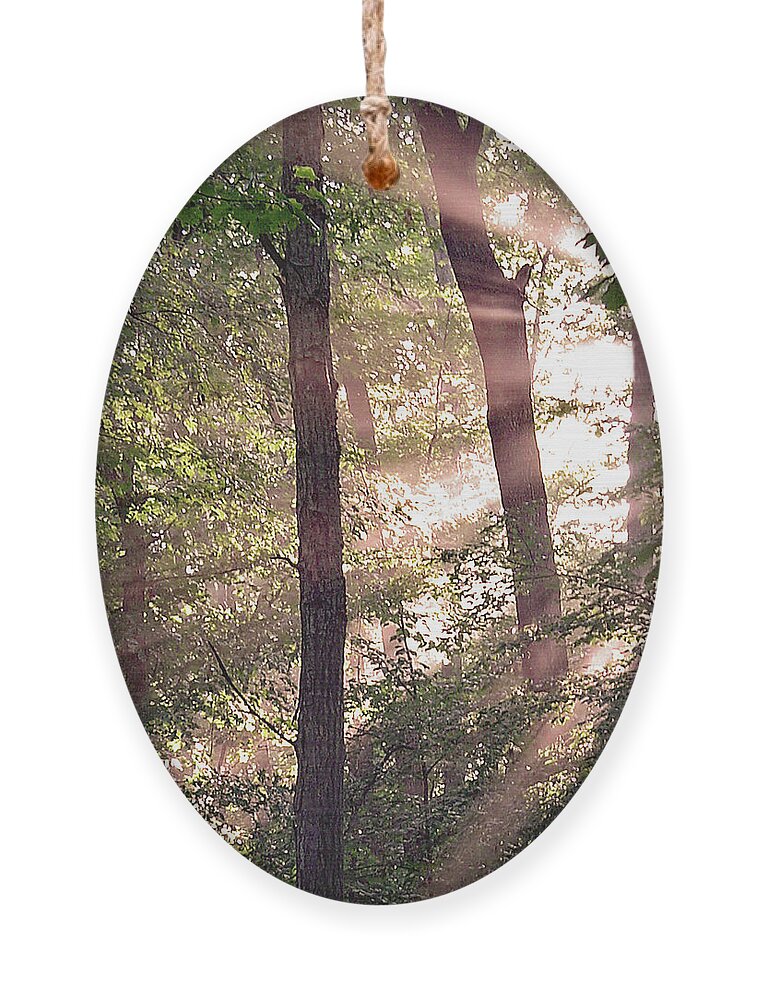 Trees Ornament featuring the digital art Sun Rays in Virginia by Nancy Olivia Hoffmann