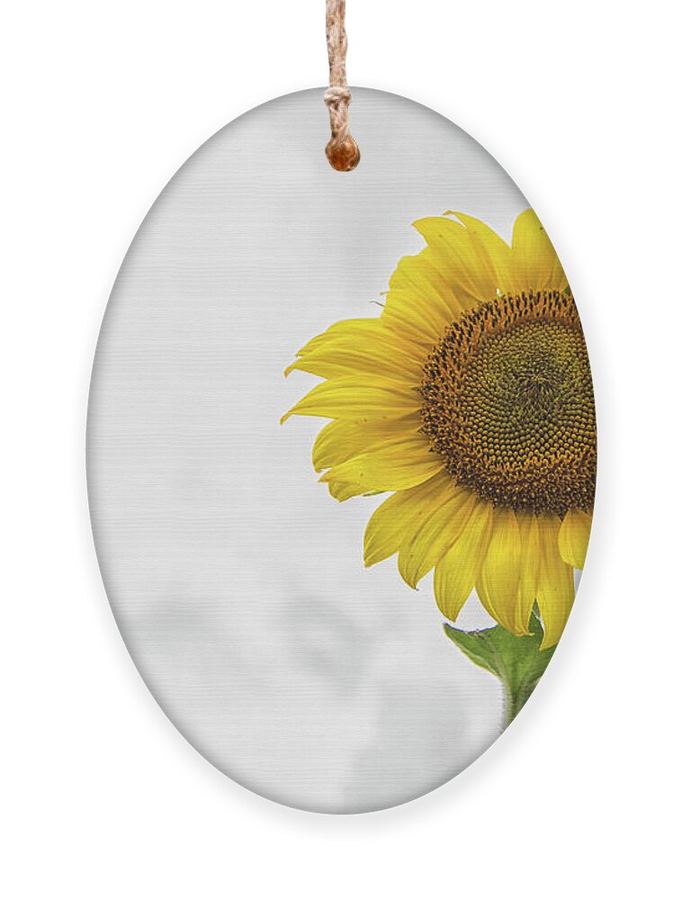 Sunflower Ornament featuring the photograph Sunflower Against a Carolina Sky by Bob Decker