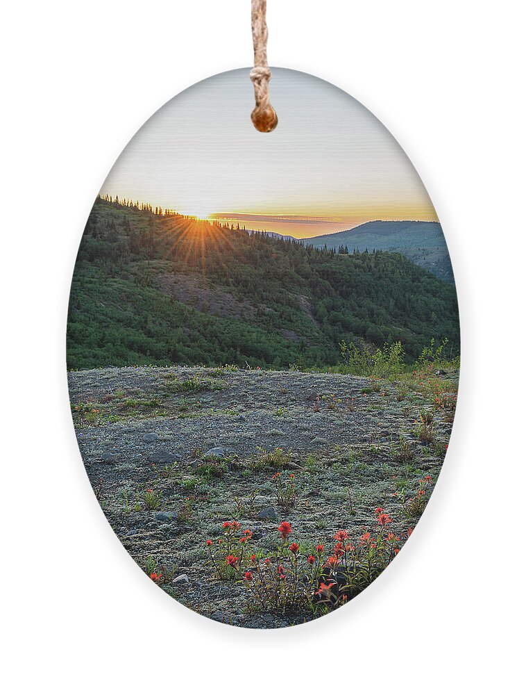 Outdoor; Mountain; Mount St. Helens; St. Helens; Flowers; Paintbrush; Sunburst; Trail; Devil's Point Trail Ornament featuring the digital art Sunlight from Devil's Point Trail by Michael Lee