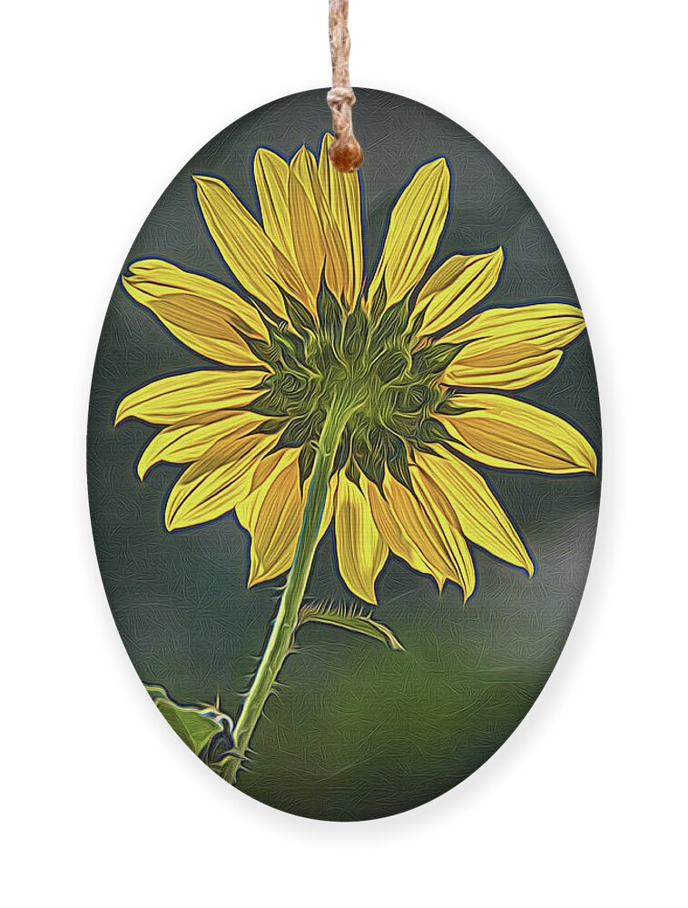 Bloom Ornament featuring the photograph Sunny Sunflower Following the Sun With Enhancements by Debra Martz