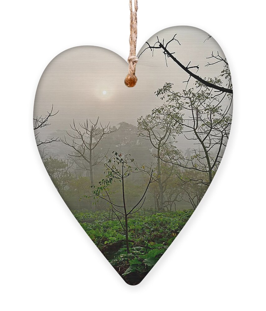 Fog Ornament featuring the photograph Sunrise amid deep fog by Amazing Action Photo Video