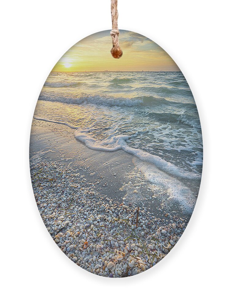 Starfish Ornament featuring the photograph Sunrise Seashells At Sanibel Island Florida. by Jordan Hill