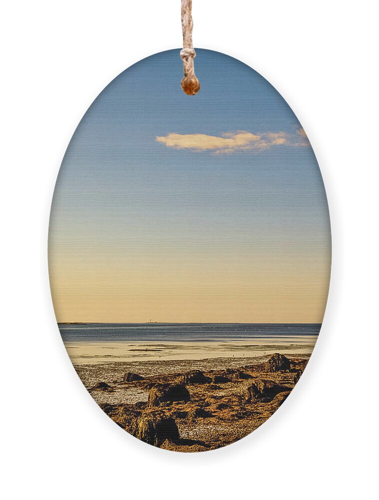 Acadia Ornament featuring the photograph Sunset - Acadia National Park by Amelia Pearn