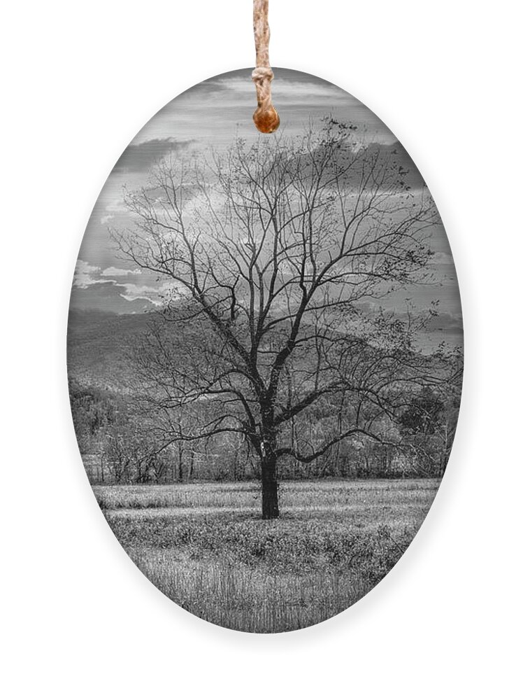 Tree Ornament featuring the photograph Sunset Clouds in Cades Cove Black and White by Debra and Dave Vanderlaan