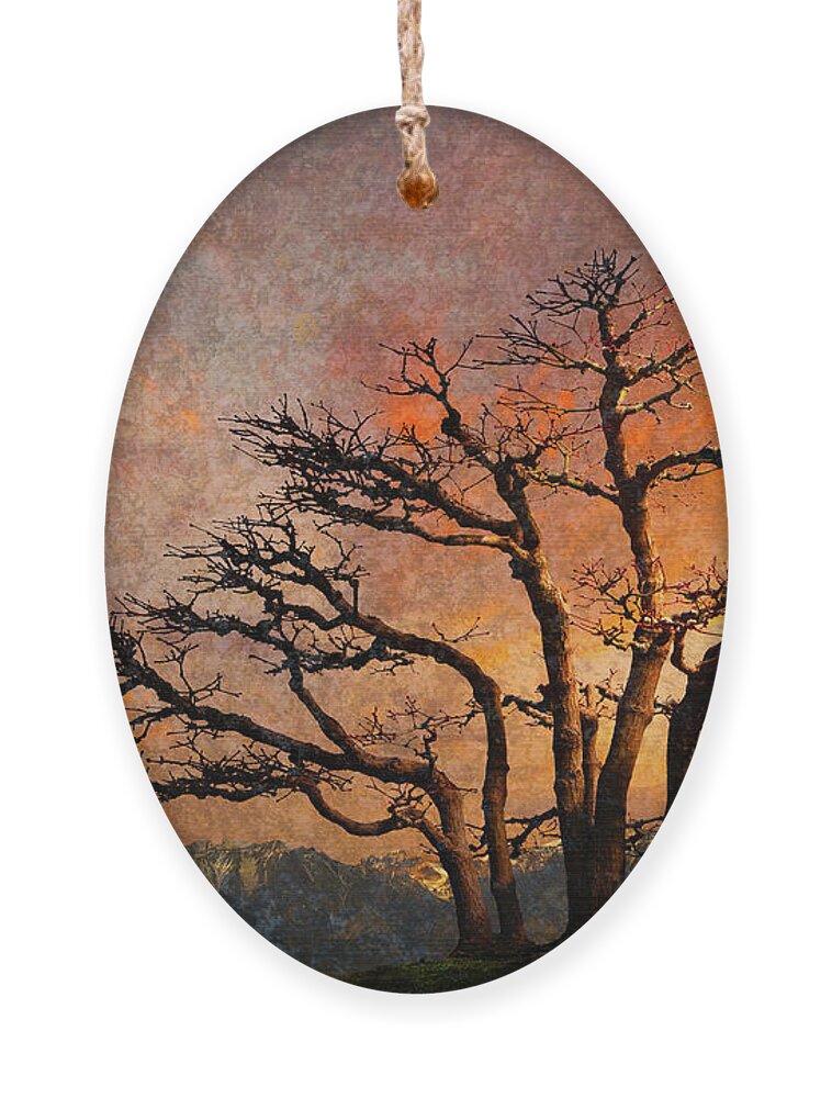 Sierra Nevadas Ornament featuring the photograph Sunset Over the Eastern Sierras by Mark Gomez