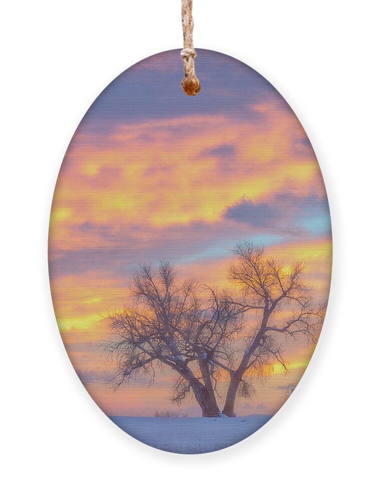 Tree Ornament featuring the photograph Sunset Tree by Ronda Kimbrow