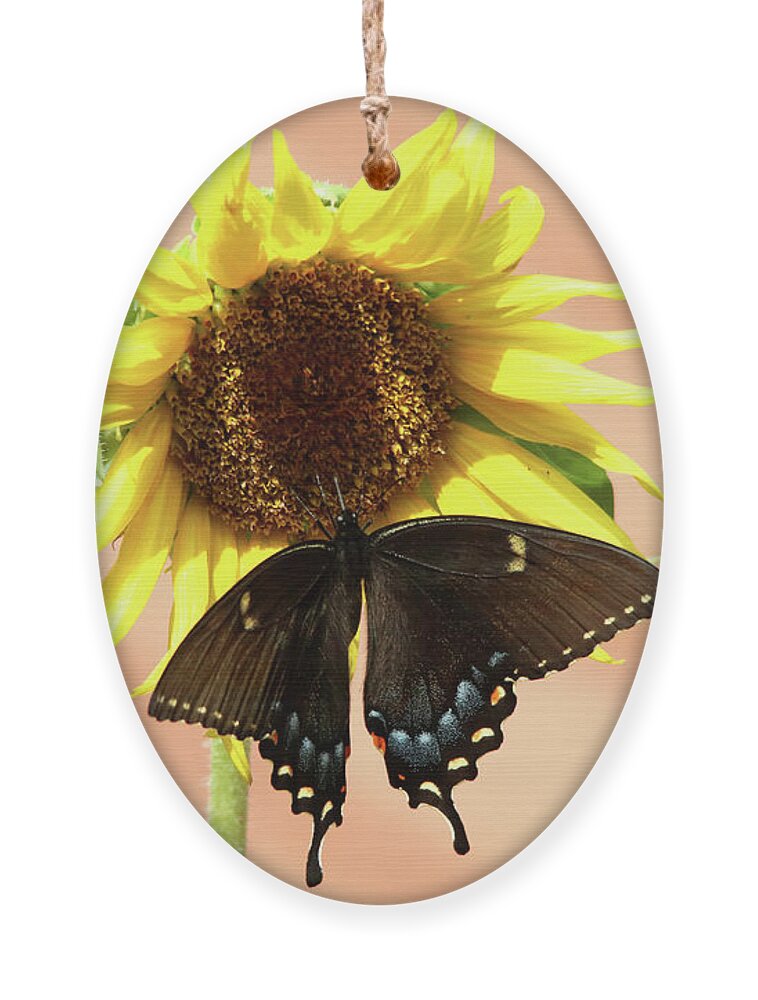 Nature Ornament featuring the photograph Swallowtail Butterfly on a Sunflower by Trina Ansel