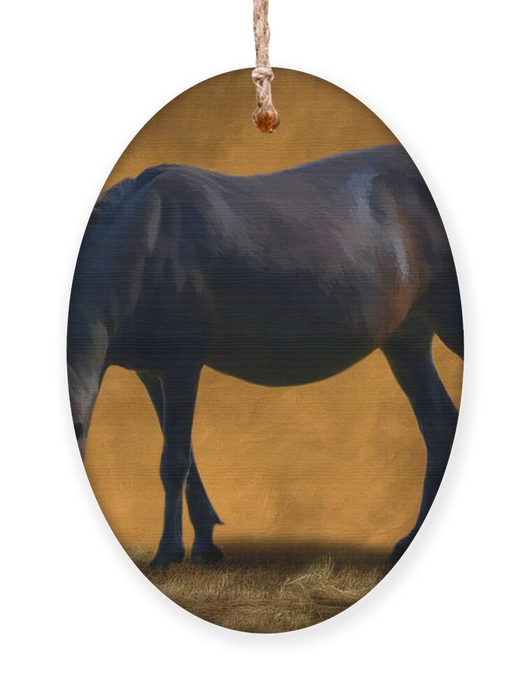 Horse Ornament featuring the photograph Sweet Tilly - Summer Turnout by Yvonne Johnstone
