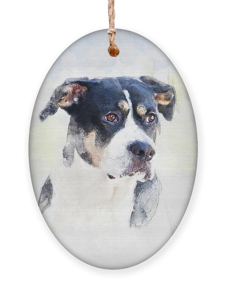 Greater Swiss Mountain Dog Ornament featuring the mixed media Swiss Mountian Dog by Ed Taylor