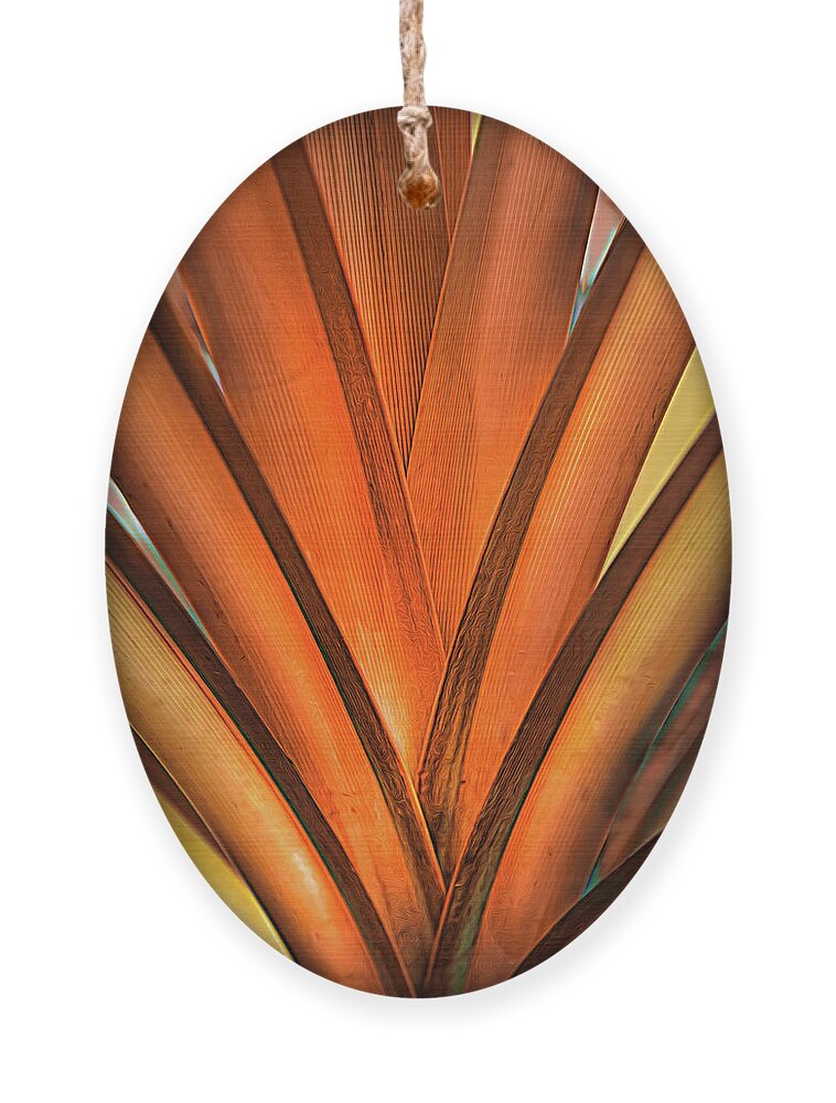 Palm Ornament featuring the photograph Symmetry of a Palm in Autumn by Debra and Dave Vanderlaan