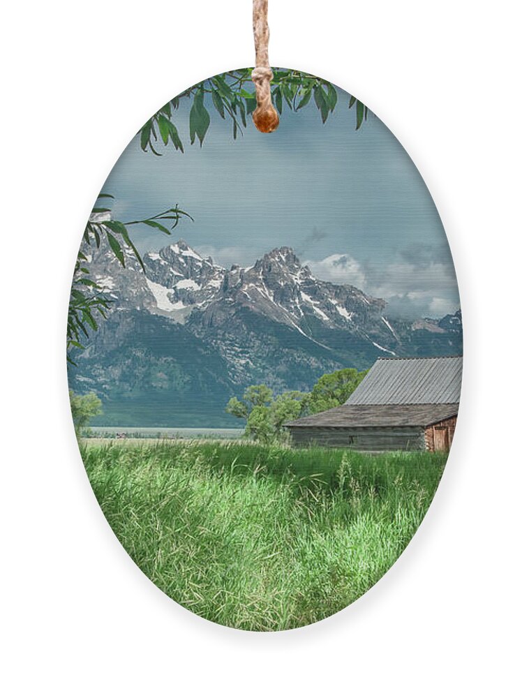 Barn Ornament featuring the photograph T A Moulton Barn, Grand Tetons by Marcy Wielfaert