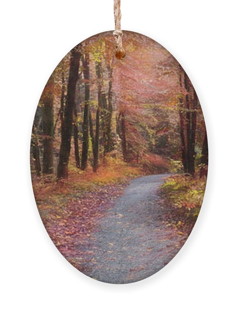 Trail Ornament featuring the photograph Take a Walk in the Woods Panorama Painting by Debra and Dave Vanderlaan