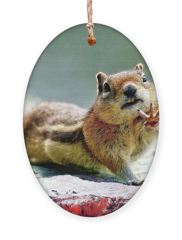 Chipmunk Ornament featuring the photograph Talk to the Hand Greetings from the Wild by OLena Art by Lena Owens - Vibrant DESIGN