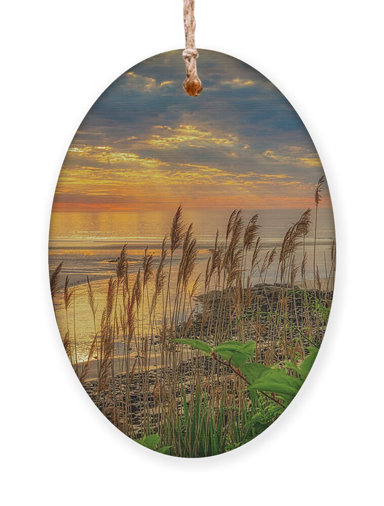 Reeds Ornament featuring the photograph Tall Grasses of Marginal Way by Penny Polakoff