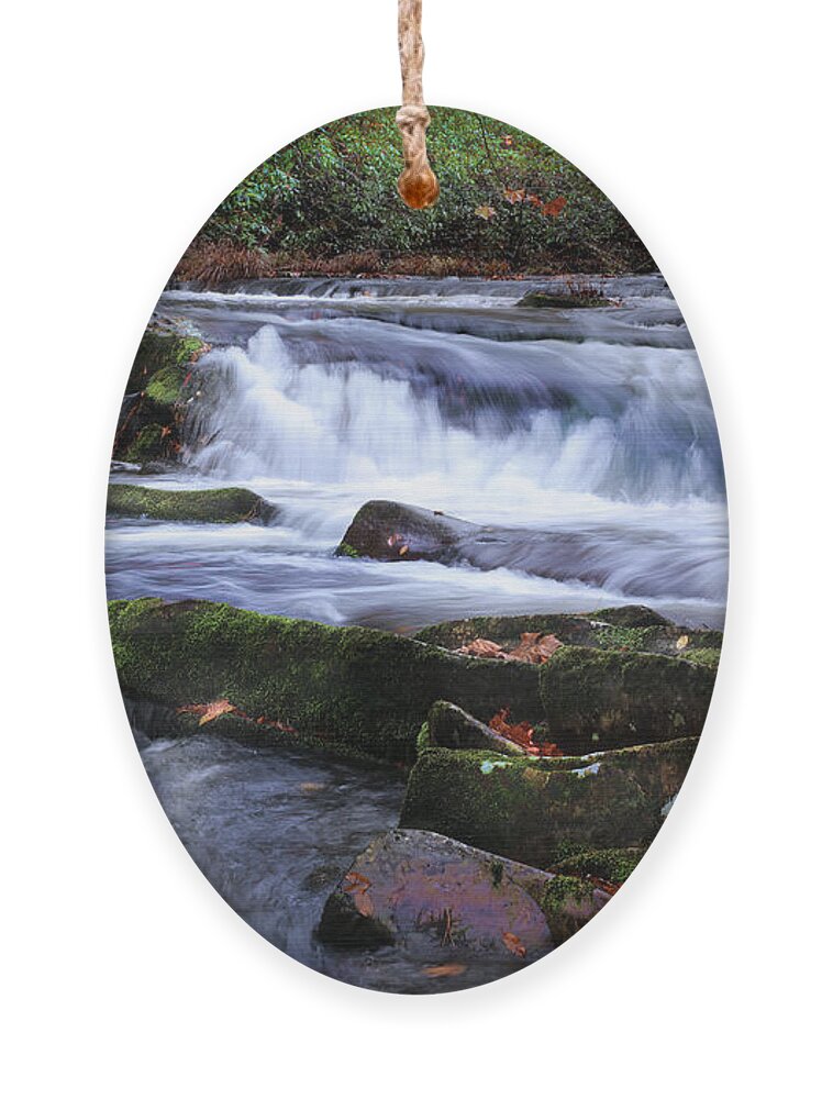 Tellico River Ornament featuring the photograph Tellico Moment by Rick Lipscomb