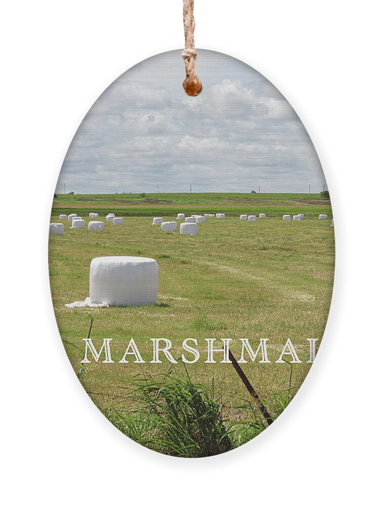 Harvest Ornament featuring the photograph Texas Marshmallows by Steve Templeton