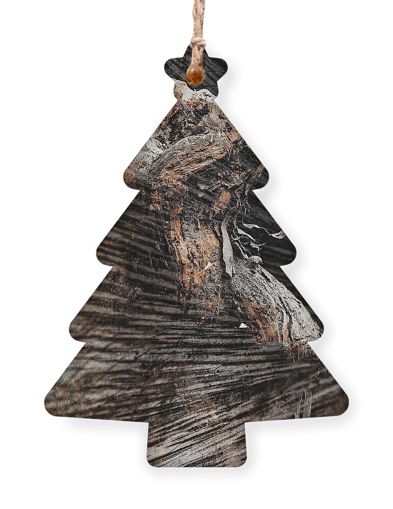 Rough Ornament featuring the photograph Textures of Wood Abstract by Jeff Townsend