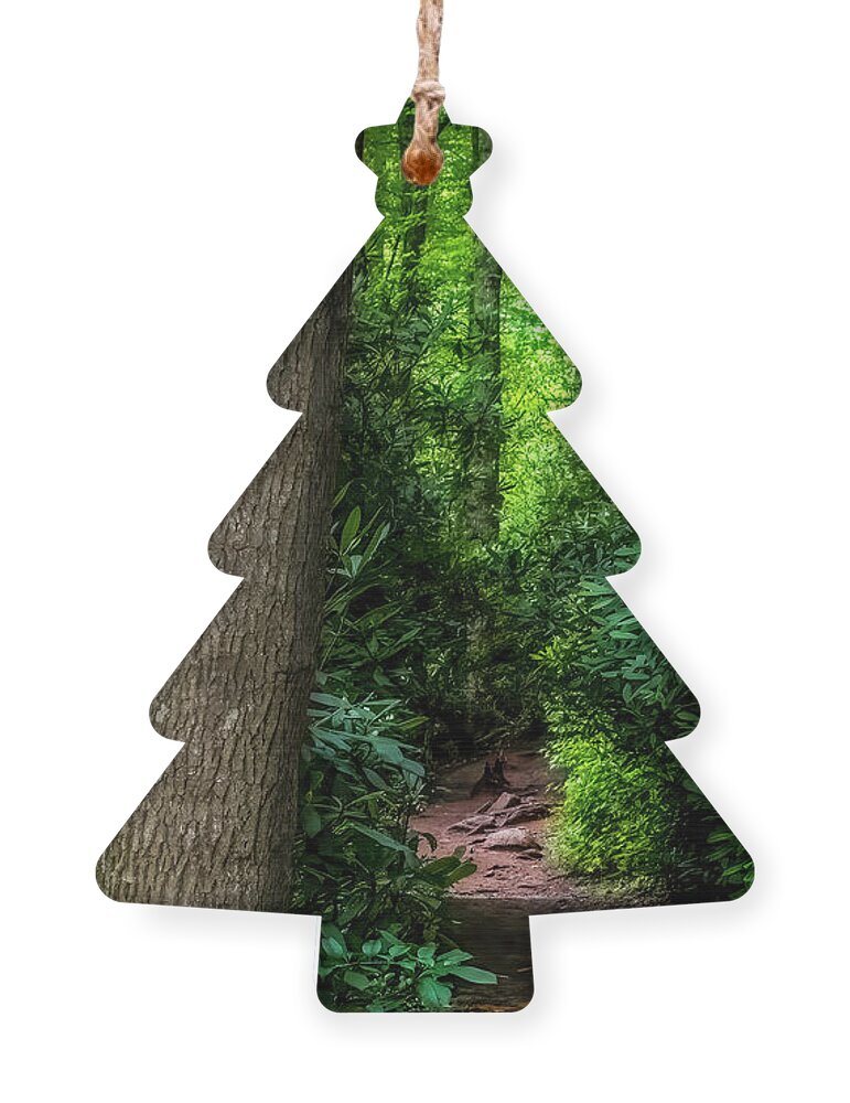 Trail Ornament featuring the photograph The Appalachian Trail 2 by Shelia Hunt