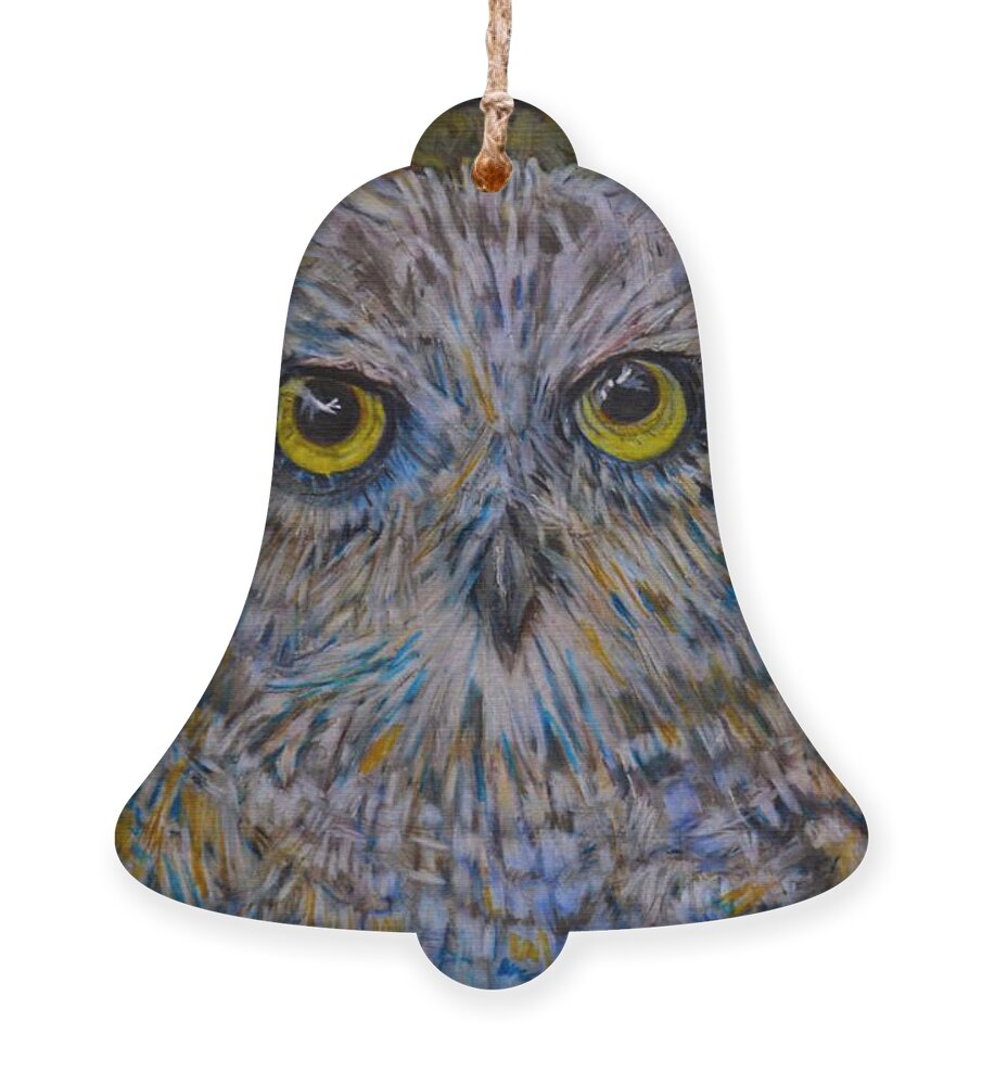 Colored Pencil Ornament featuring the drawing The Barred Owl Baby by Marysue Ryan