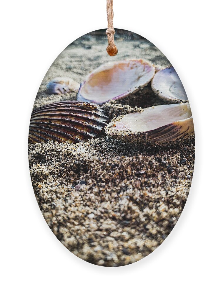 Beach Ornament featuring the photograph The beach by Jim Feldman