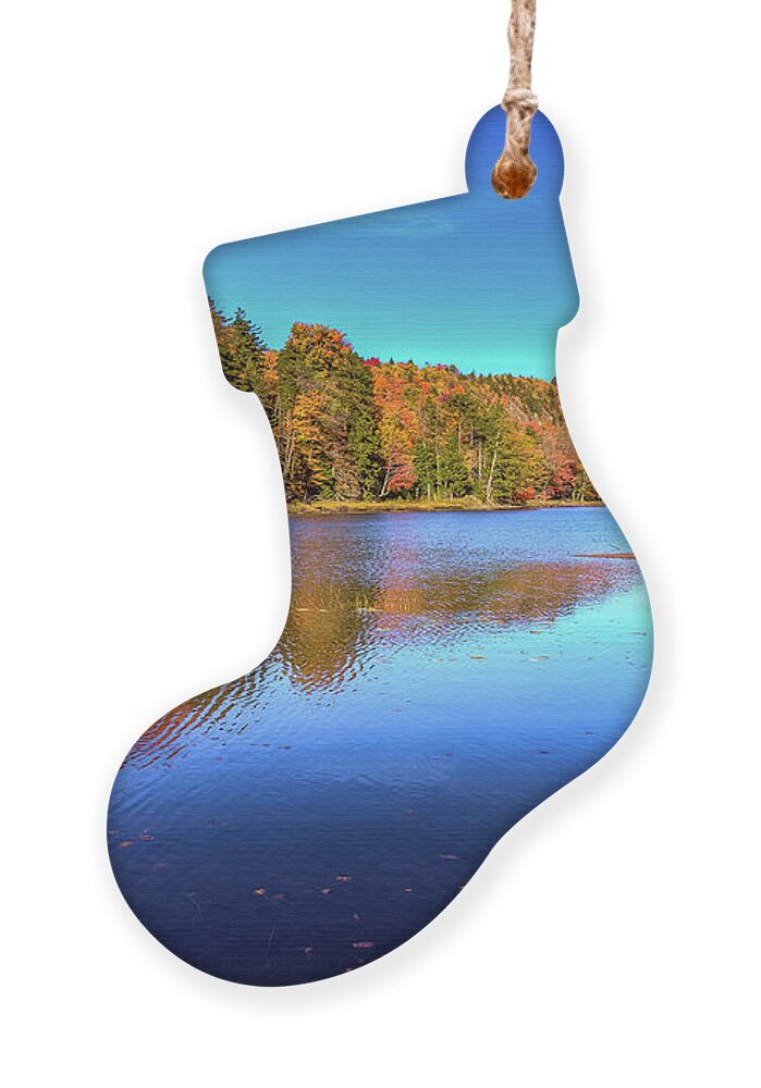 The Beauty Of Bald Mountain Pond Ornament featuring the photograph The Beauty of Bald Mountain Pond by David Patterson