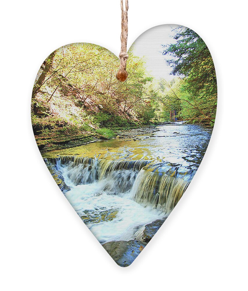 Nature Ornament featuring the photograph The Beauty of Nature by Trina Ansel