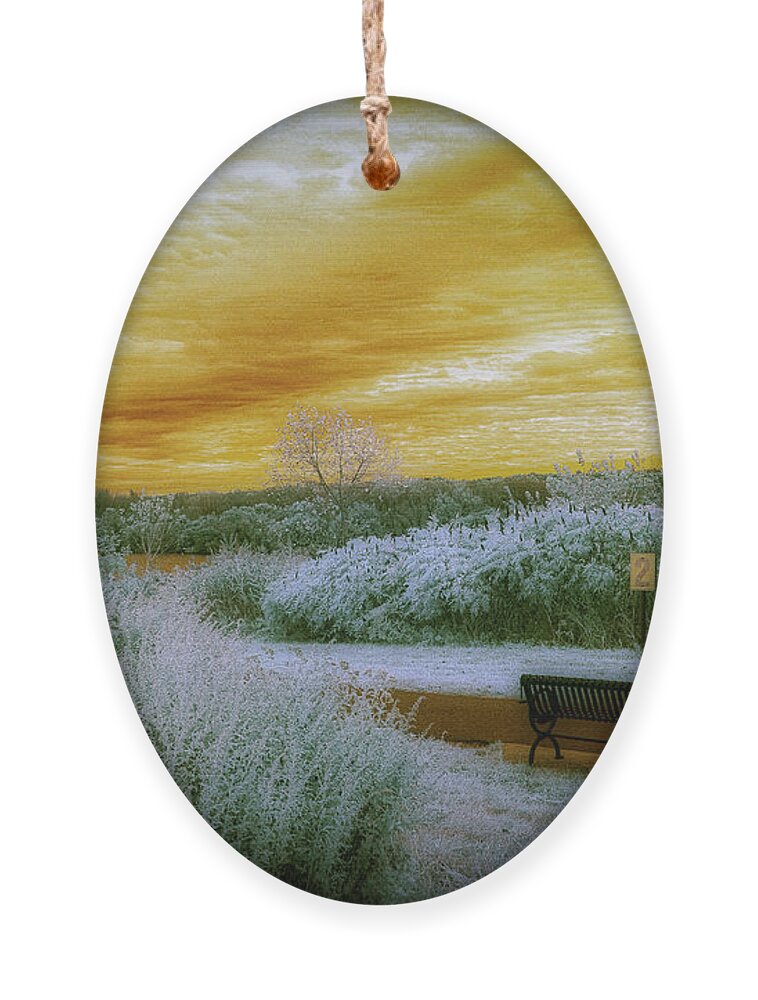 Overpeck Park Ornament featuring the photograph The Bench by Penny Polakoff
