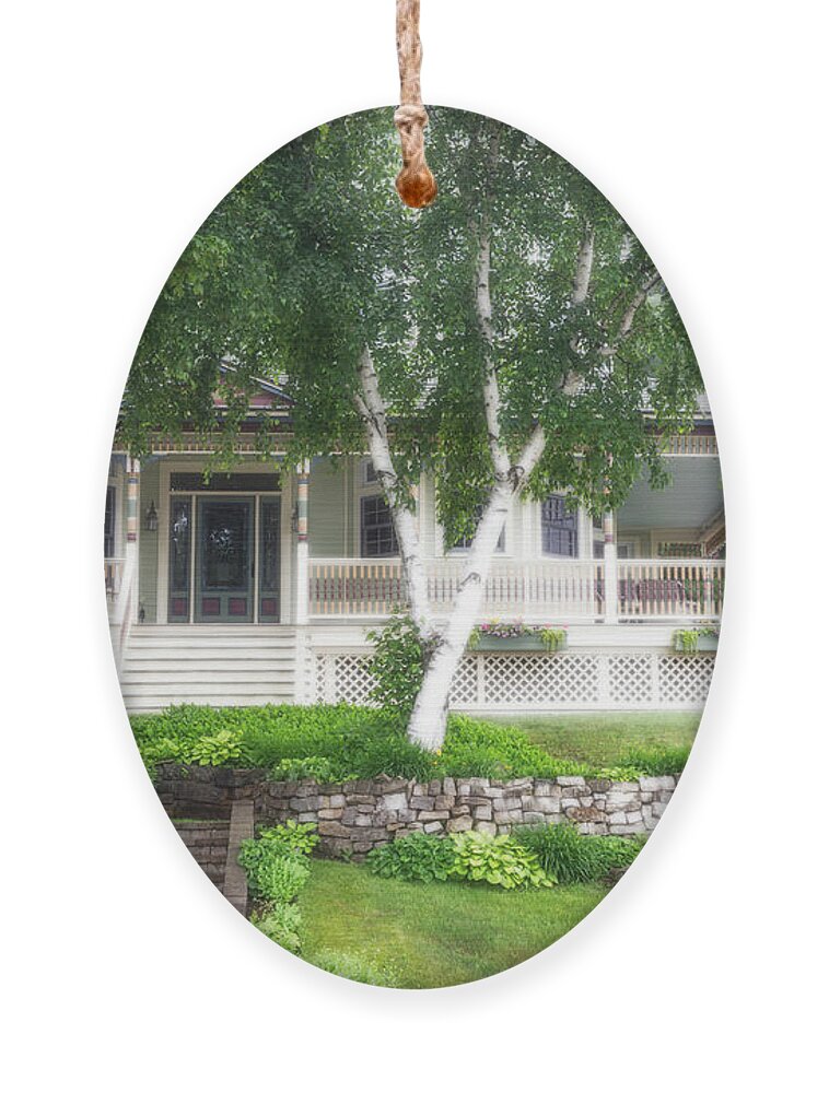 Birch Tree Ornament featuring the photograph The Birch Tree With Radiance by Robert Carter