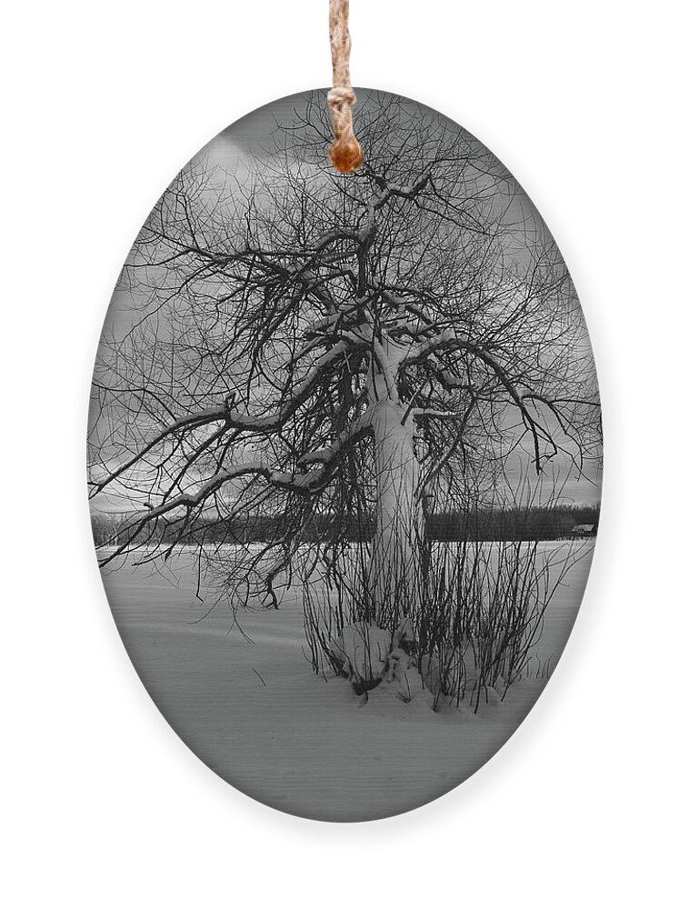 Snow Ornament featuring the photograph The calm after the storm by Carl Marceau