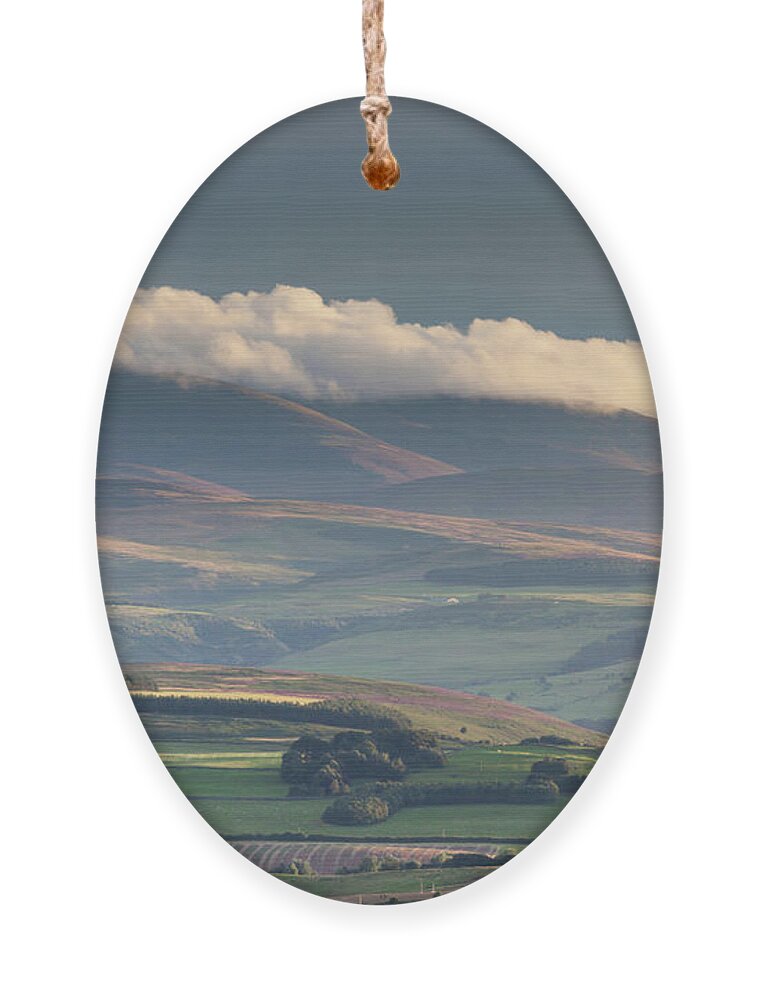 Cheviot Ornament featuring the photograph The Cheviot Foothills at sunset by Anita Nicholson