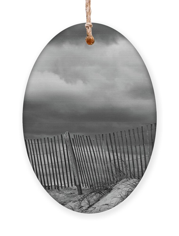 Storm Ornament featuring the photograph The Coming Storm II by Laura Fasulo
