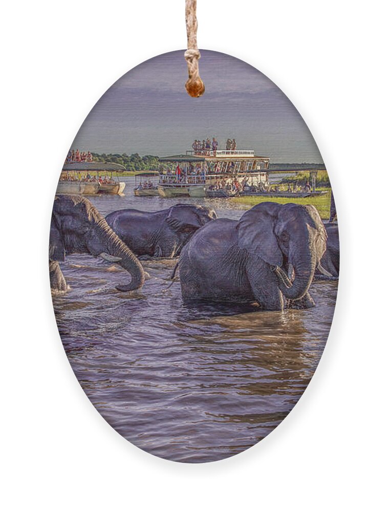 Chobe National Park Ornament featuring the photograph The Crossing by Marcy Wielfaert