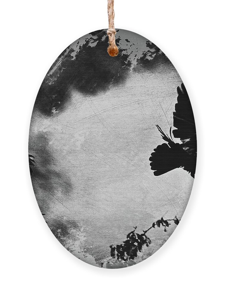Birds Ornament featuring the photograph The Crow in Flight by Trina Ansel