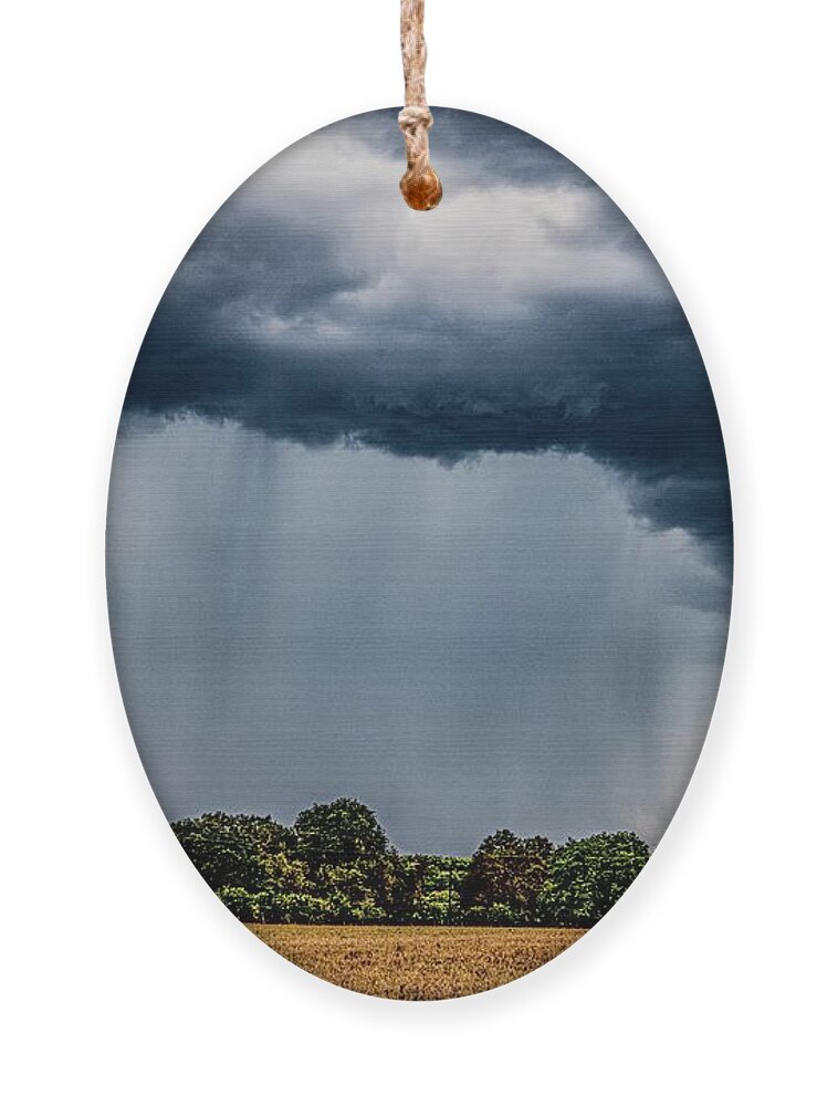  Ornament featuring the photograph The Downfall by Michael Tidwell
