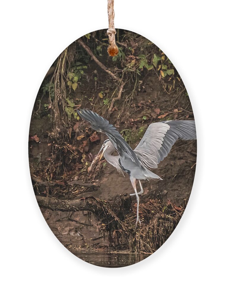 Heron Ornament featuring the photograph The Fisherman by DArcy Evans