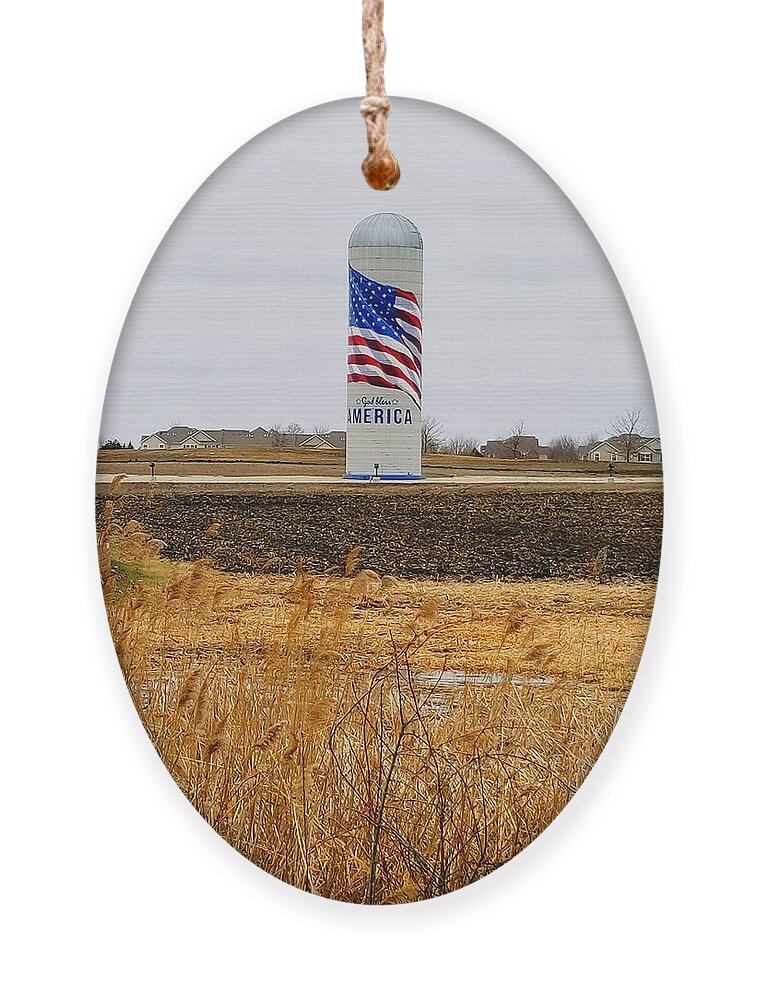 Corn Field Ornament featuring the photograph The Flag Silo by Fred Larucci