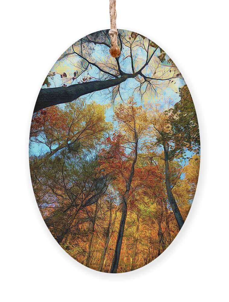 Clouds Ornament featuring the photograph The Forest's Embrace Painting by Debra and Dave Vanderlaan