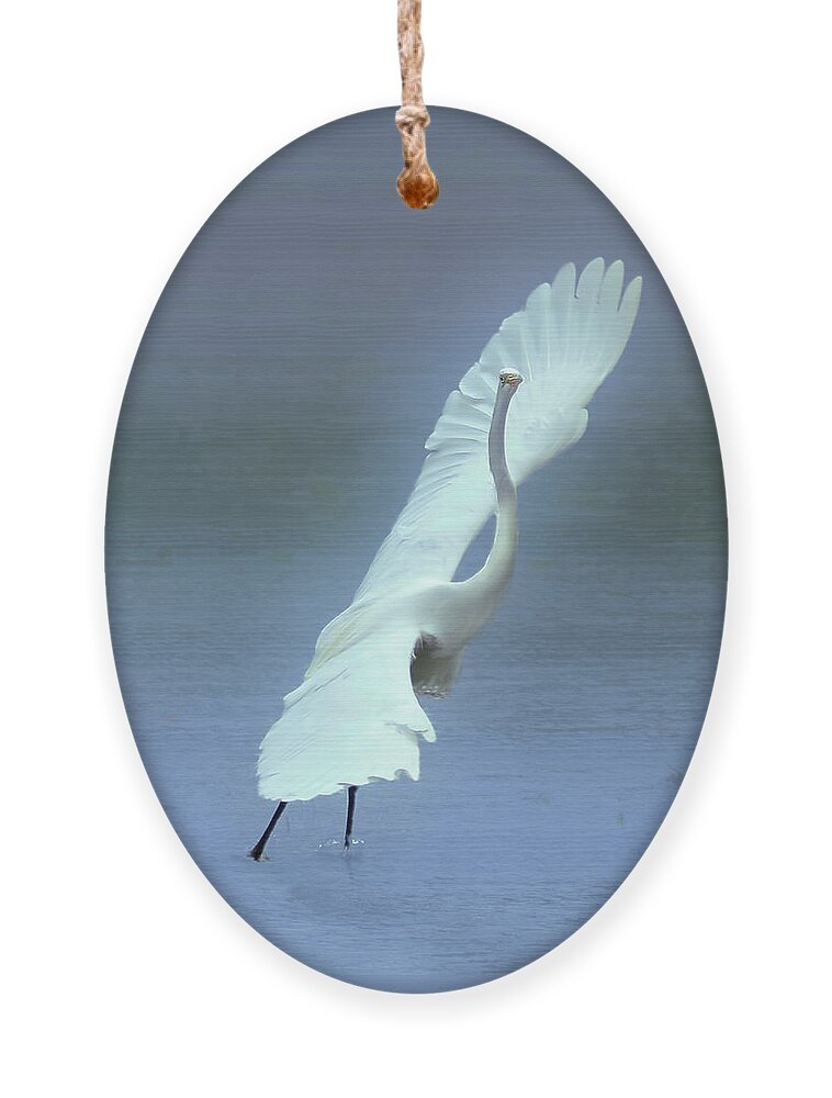 Faune Ornament featuring the photograph The Great dancing Egret by Carl Marceau