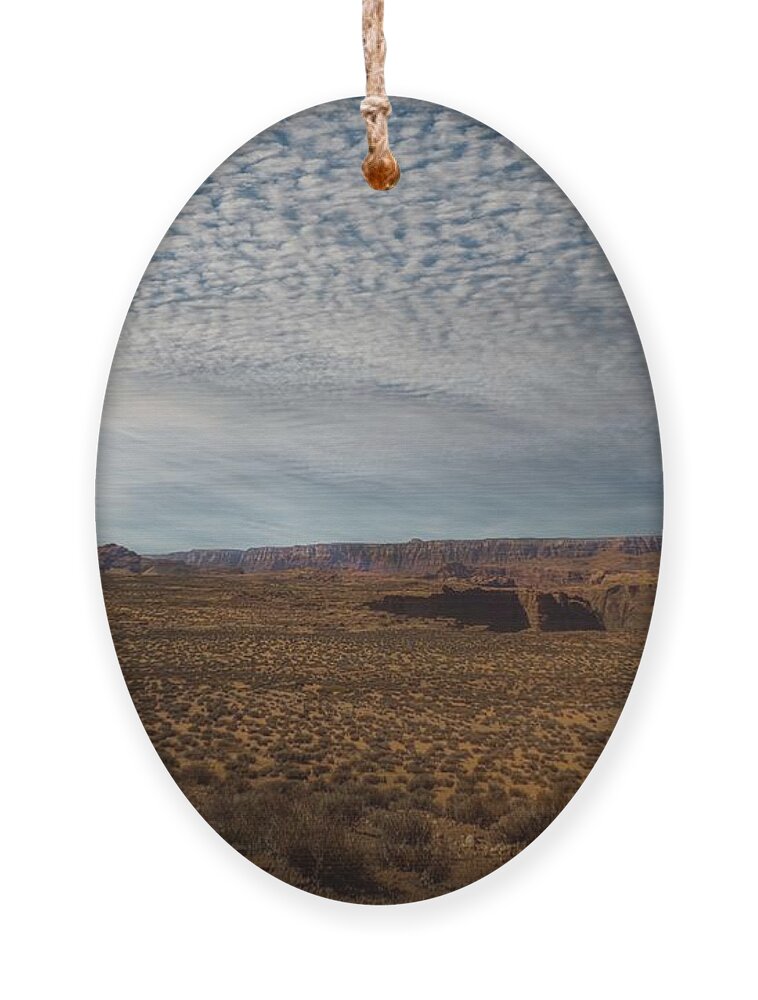 Desert Ornament featuring the photograph The High Desert of Northern Arizona by Laura Putman