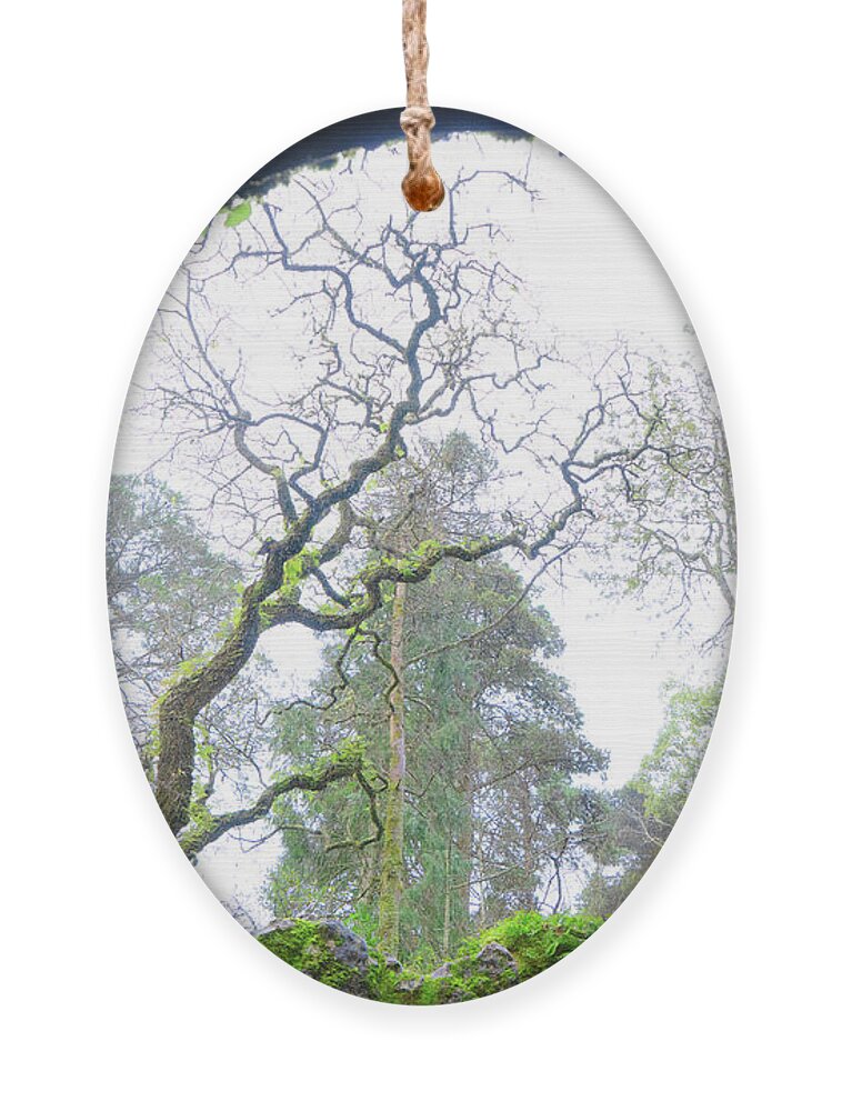 Sintra Ornament featuring the photograph The Initiation Well by Anastasy Yarmolovich