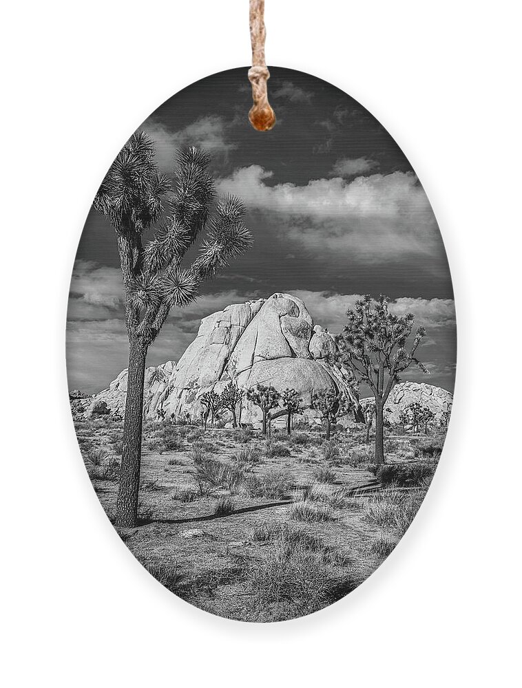 Rocks Ornament featuring the photograph The Intersection of Rock and Joshua Tree - Black and White by Peter Tellone